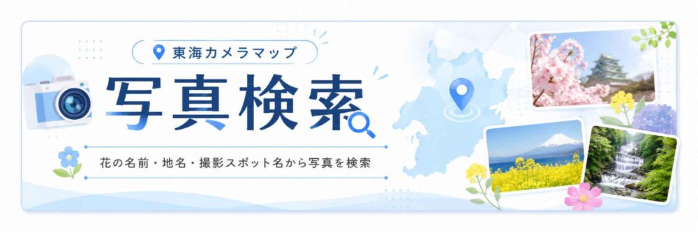 写真検索バナー