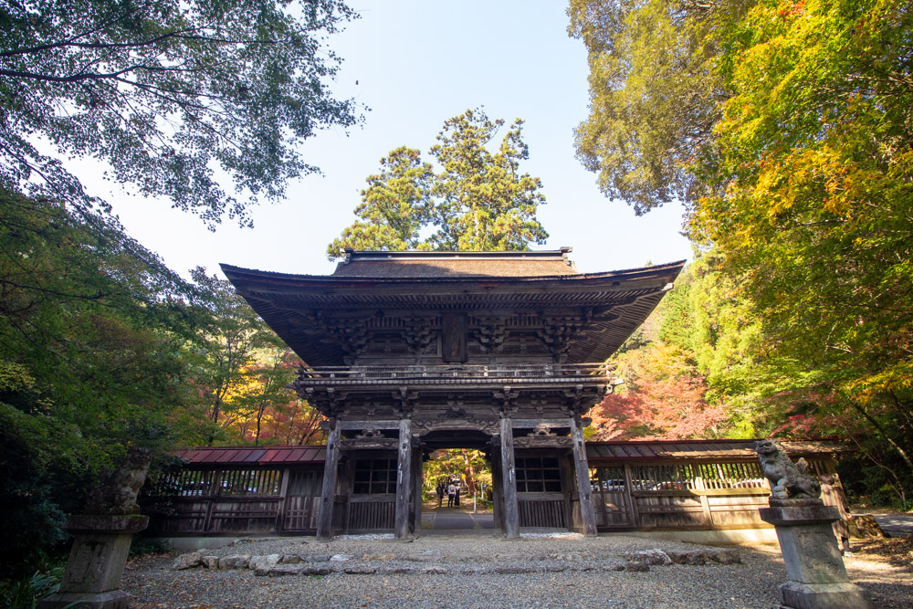 大矢田神社 、紅葉、11月秋、岐阜県美濃市の観光・撮影スポットの名所