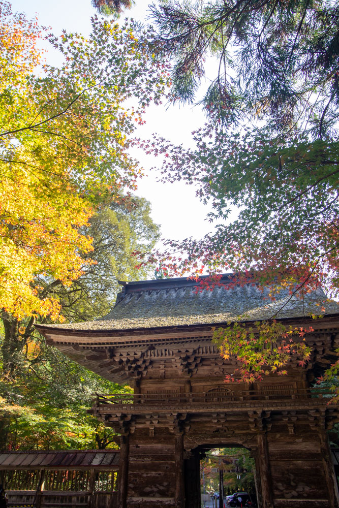 大矢田神社 、紅葉、11月秋、岐阜県美濃市の観光・撮影スポットの名所
