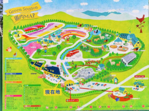 牧歌の里、5月夏の花、岐阜県郡上市の観光・撮影スポットの名所