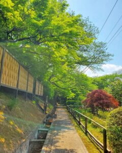 お茶屋敷跡、新緑、4月の春の花、岐阜県大垣市の観光・撮影スポットの名所