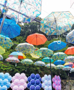 法多山尊永寺、アンブレラスカイ、6月夏、静岡県袋井市の観光・撮影スポットの名所