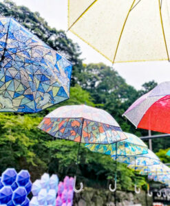法多山尊永寺、アンブレラスカイ、6月夏、静岡県袋井市の観光・撮影スポットの名所