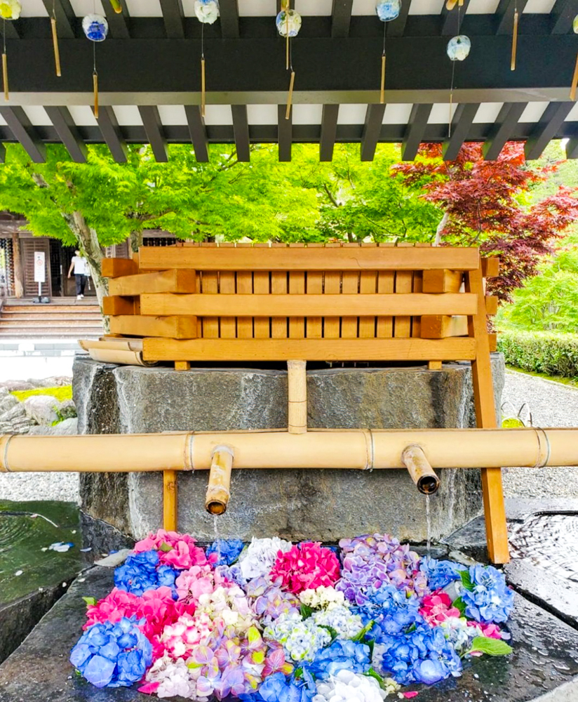 法多山尊永寺、花手水、6月夏、静岡県袋井市の観光・撮影スポットの名所