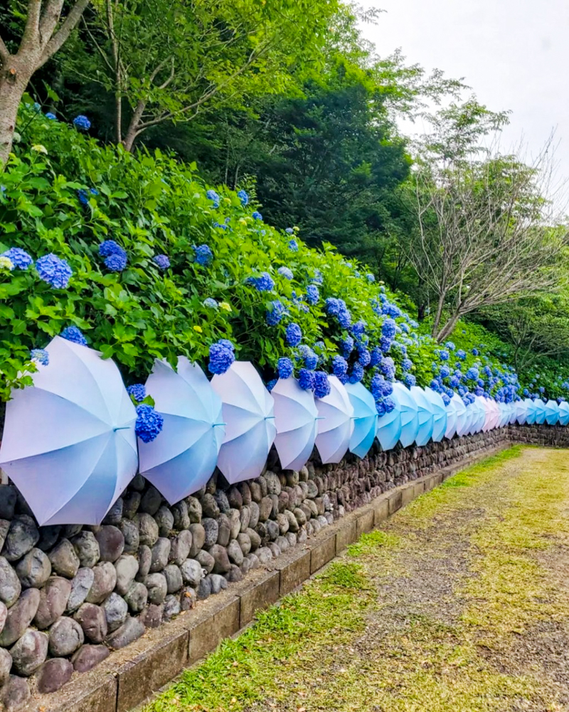 法多山尊永寺、おしゃれ傘、6月夏、静岡県袋井市の観光・撮影スポットの名所