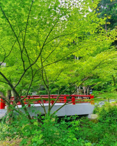 法多山尊永寺、6月夏、静岡県袋井市の観光・撮影スポットの名所