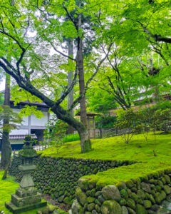法多山尊永寺、6月夏、静岡県袋井市の観光・撮影スポットの名所