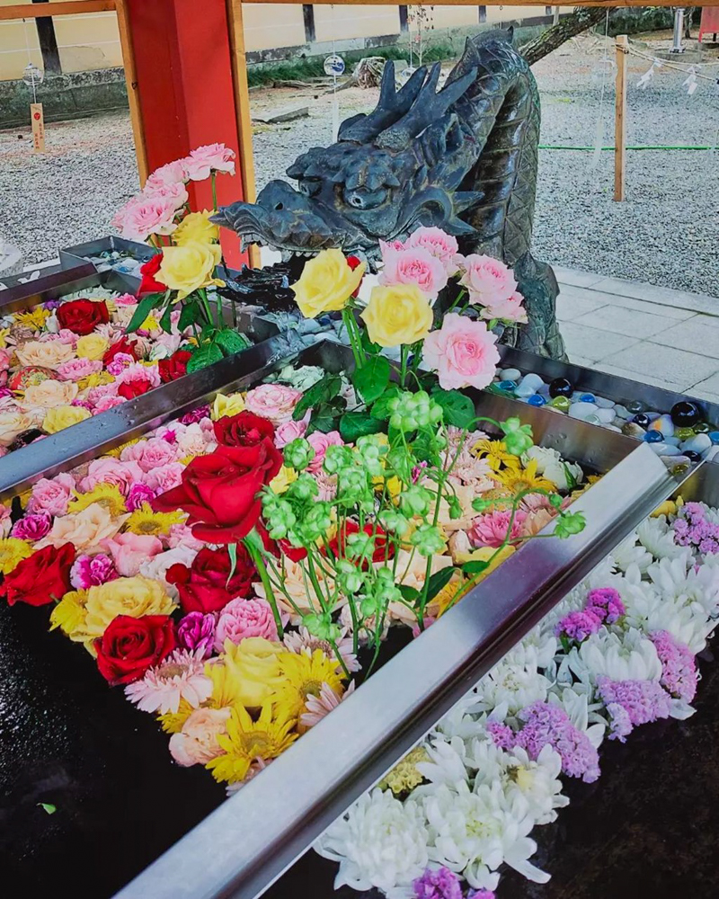 南宮大社、花手水舎、7月夏の花、岐阜県不破郡の観光・撮影スポットの画像と写真