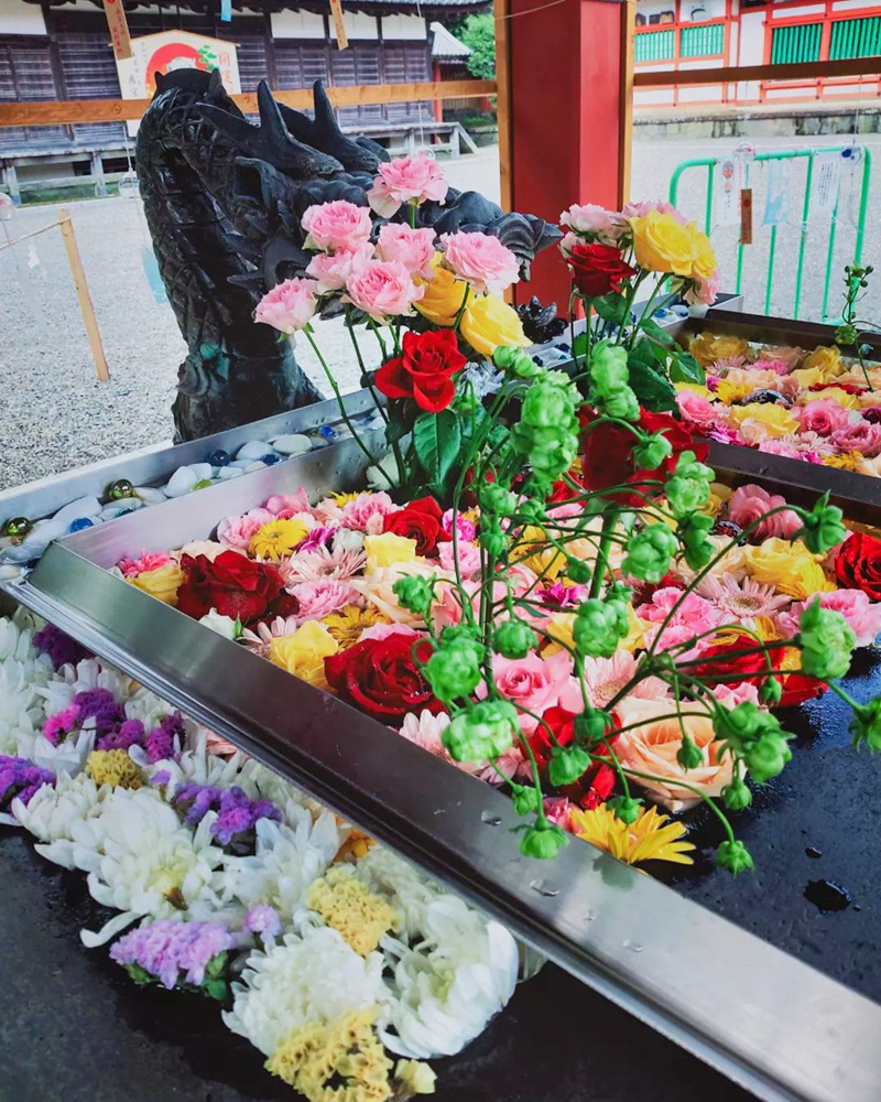 南宮大社、花手水舎、7月夏の花、岐阜県不破郡の観光・撮影スポットの画像と写真