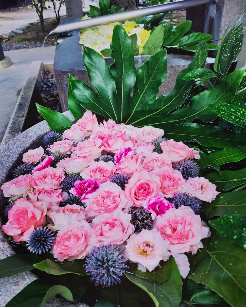 南宮大社、花手水舎、7月夏の花、岐阜県不破郡の観光・撮影スポットの画像と写真