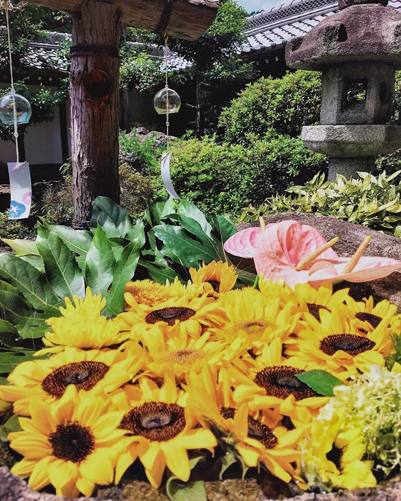 南宮大社、花手水舎、7月夏の花、岐阜県不破郡の観光・撮影スポットの画像と写真