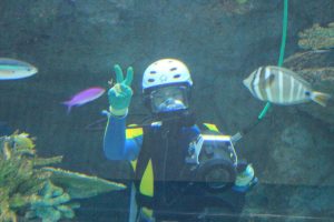 名古屋港水族館（お兄さん）　愛知県港区の観光・撮影スポットの写真や画像