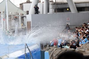 名古屋港水族館（イルカのテールスプラッシュ）　愛知県港区の観光・撮影スポットの写真や画像