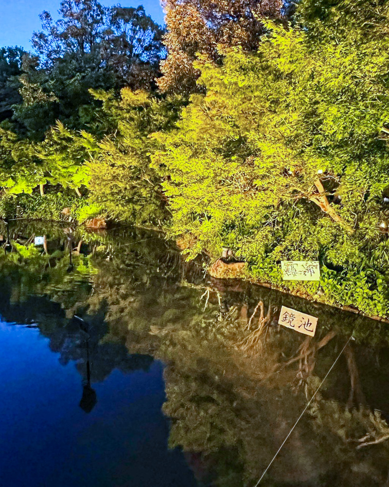 なばなの里、鏡池、6月夏の花、三重県桑名市の観光・撮影スポットの名所