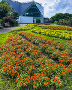 フラワーパーク江南 、7月夏の花、愛知県江南市の観光・撮影スポットの名所