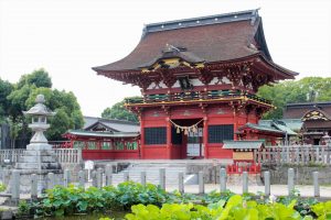 伊賀八幡宮、ハス、7月夏の花、愛知県岡崎市の観光・撮影スポットの写真や画像