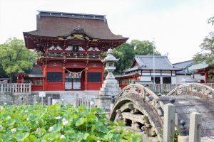 伊賀八幡宮、ハス、7月夏の花、愛知県岡崎市の観光・撮影スポットの写真や画像