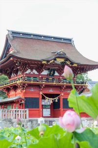 伊賀八幡宮、ハス、7月夏の花、愛知県岡崎市の観光・撮影スポットの写真や画像