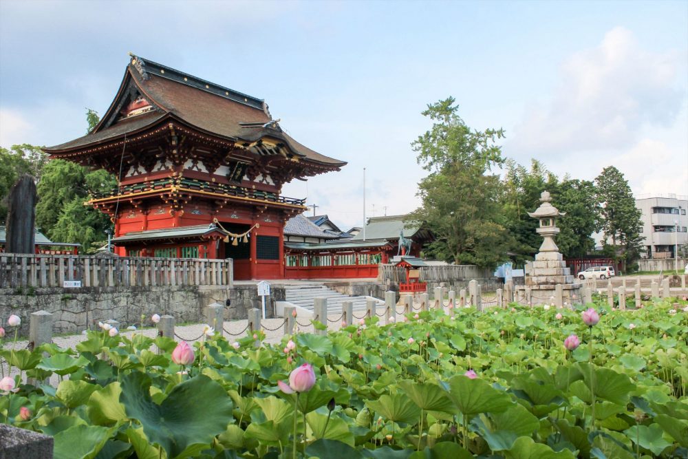 伊賀八幡宮、ハス、7月夏の花、愛知県岡崎市の観光・撮影スポットの写真や画像
