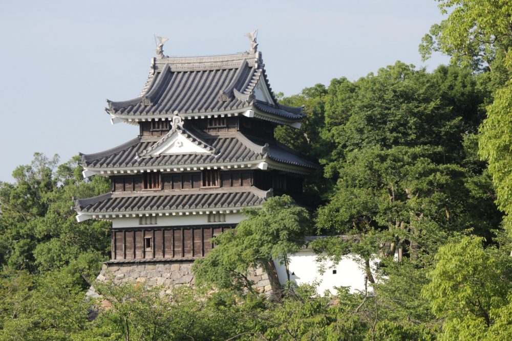 西尾市歴史公園（6月）　西尾城、鍮石門、旧近衛邸　愛知県西尾市の観光・撮影スポットの写真や画像
