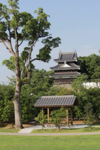 西尾市歴史公園（6月）　西尾城、鍮石門、旧近衛邸　愛知県西尾市の観光・撮影スポットの写真や画像