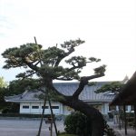 岡崎公園（三河武士のやかた　家康館）　愛知県岡崎市の観光・撮影スポットの写真や画像
