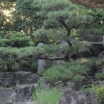 岡崎公園（庭園）　愛知県岡崎市の観光・撮影スポットの写真や画像