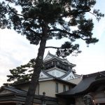岡崎公園（岡崎城）　愛知県岡崎市の観光・撮影スポットの写真や画像