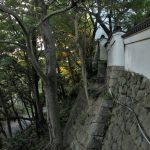 岡崎公園（石垣）　愛知県岡崎市の観光・撮影スポットの写真や画像