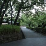 岡崎公園（散歩道）　愛知県岡崎市の観光・撮影スポットの写真や画像