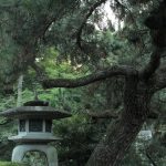 岡崎公園（灯篭と松）　愛知県岡崎市の観光・撮影スポットの写真や画像