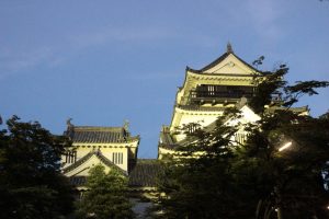 岡崎公園（岡崎城の夜景）　愛知県岡崎市の観光・撮影スポットの写真や画像