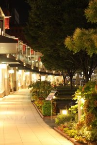 星ヶ丘テラス（花の通路・ライトアップ）　名古屋市千種区の観光・撮影スポットの写真や画像