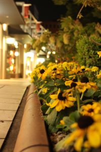 星ヶ丘テラス（花の通路・ライトアップ）　名古屋市千種区の観光・撮影スポットの写真や画像