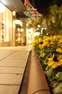 星ヶ丘テラス（花の通路・ライトアップ）　名古屋市千種区の観光・撮影スポットの写真や画像