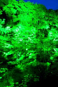 徳川園夜会（ライトアップ）　名古屋市東区撮影スポットの写真や画像