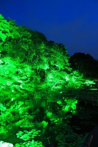 徳川園夜会（ライトアップ）　名古屋市東区撮影スポットの写真や画像