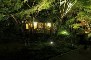 徳川園夜会　（ライトアップ）　名古屋市東区撮影スポットの写真や画像