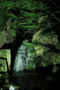 徳川園夜会　（ライトアップ）　名古屋市東区撮影スポットの写真や画像