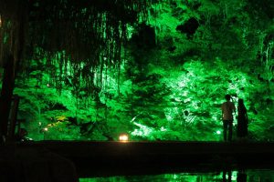 徳川園夜会　（ライトアップ）　名古屋市東区撮影スポットの写真や画像