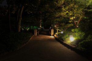 徳川園夜会　（ライトアップ）　名古屋市東区撮影スポットの写真や画像