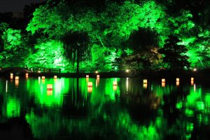 徳川園夜会　浮灯籠（夜景）　名古屋市東区撮影スポットの写真や画像