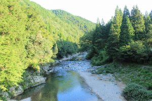 モネの池（9月）　岐阜県関市の観光・撮影スポットの写真や画像