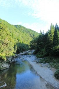 モネの池（9月）　岐阜県関市の観光・撮影スポットの写真や画像