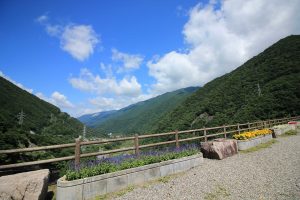 御母衣ダム　（9月）　岐阜県大野郡白川村観光・撮影スポットの写真や画像