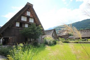 白川郷合掌造り集落　（ススキ）　岐阜県大野郡白川村の観光・撮影スポットの写真や画像
