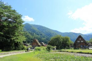 白川郷合掌造り集落　（風景）　岐阜県大野郡白川村の観光・撮影スポットの写真や画像