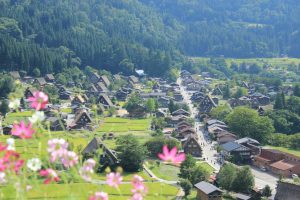 白川郷合掌造り集落　（展望台からの町なみ）　岐阜県大野郡白川村の観光・撮影スポットの写真や画像