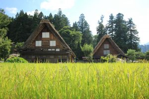 白川郷合掌造り集落　（風景）　岐阜県大野郡白川村の観光・撮影スポットの写真や画像