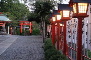 三光稲荷神社　ライトアップ　愛知県犬山市観光・風景撮影スポットの写真や画像